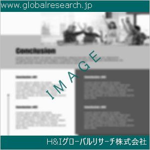 グローバルリサーチ調査資料のイメージ